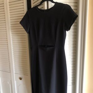 Babaton Aritzia Black Fitted Dress
